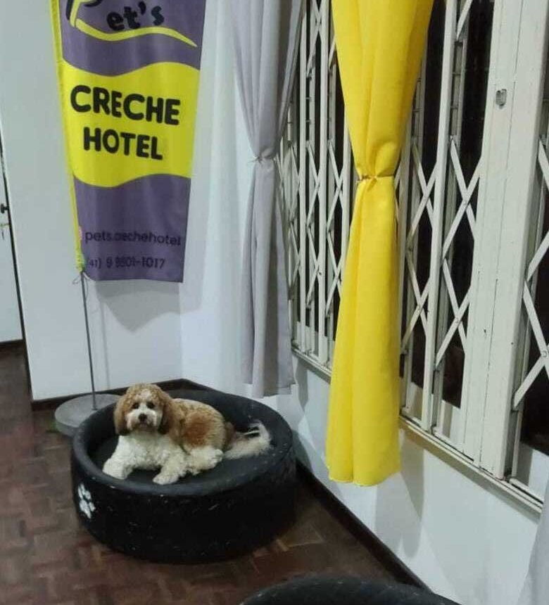 Pets Creche Hotel
